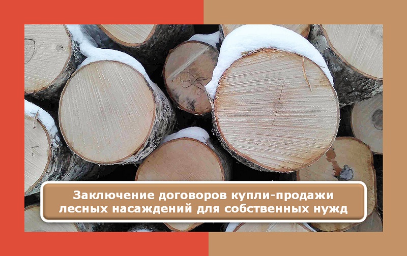 Порядок заключения с гражданами договоров купли-продажи лесных насаждений для собственных нужд.